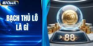 Bạch Thủ Lô Là Gì? Mẹo Soi Cầu Và Nuôi Lô Chuẩn Nhất