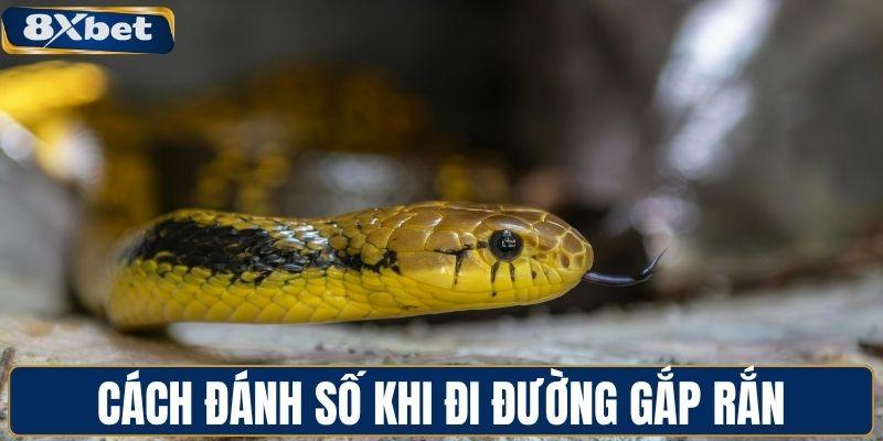 Cách đánh số khi đi đường gắp rắn