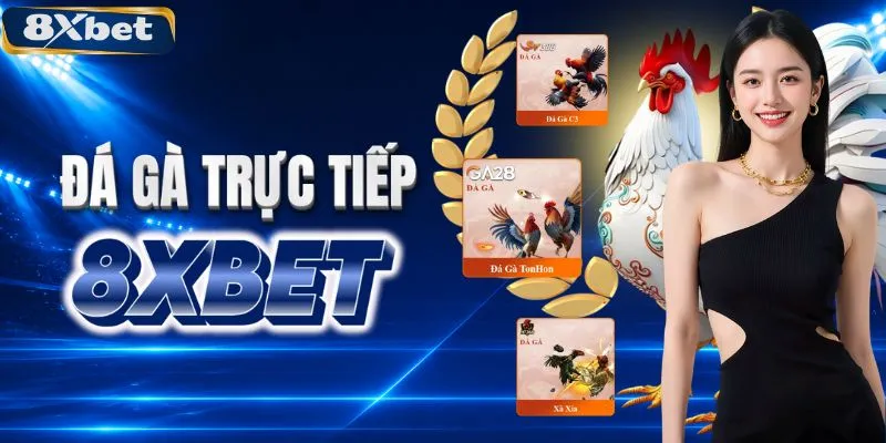 Đá gà 8XBET hợp tác với các bồ gà danh tiếng