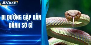 Đi Đường Gặp Rắn Đánh Số Gì? Giải Mã Ý Nghĩa Và Con Số