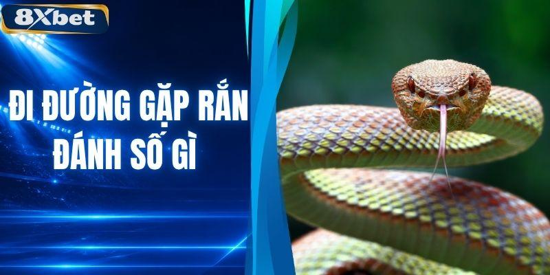 Đi Đường Gặp Rắn Đánh Số Gì? Giải Mã Ý Nghĩa Và Con Số
