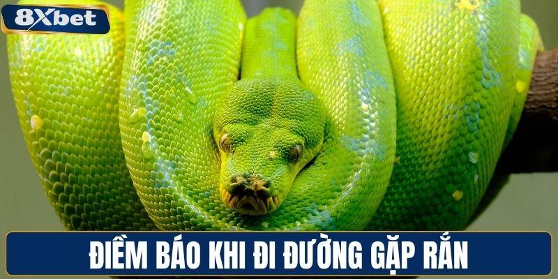 Điềm báo khi đi đường gặp rắn