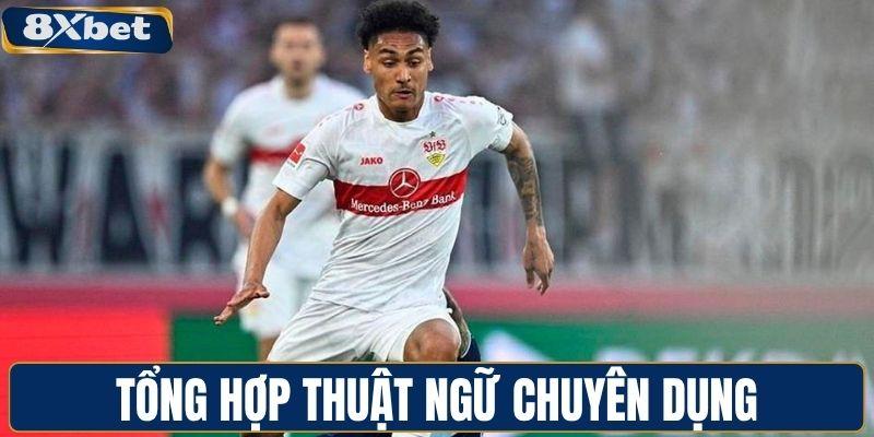 Tổng hợp thuật ngữ chuyên dụng trong cược chấp